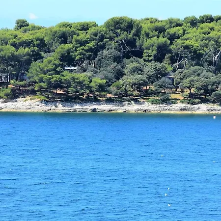 Apartment Seaside Dorjan